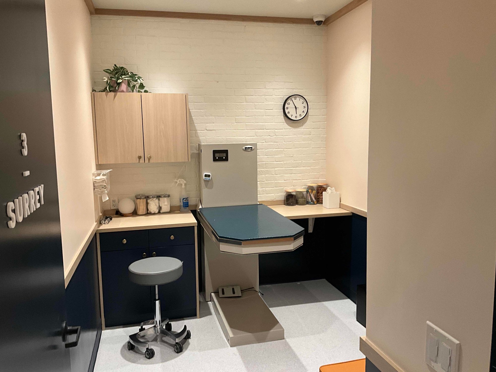 logo_2025-05-01_05-57-34 (2) XXXX