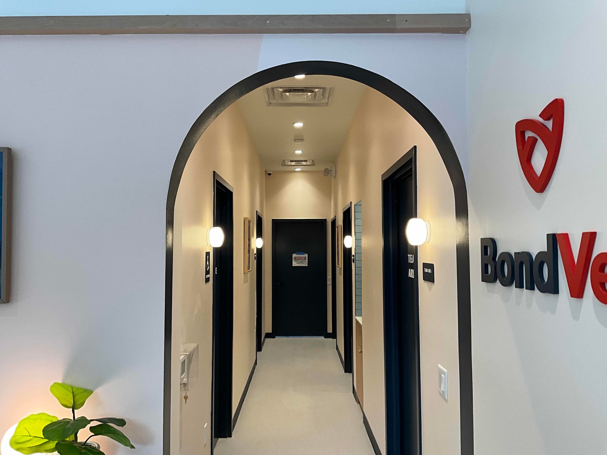 logo_2025-05-15_11-30-57