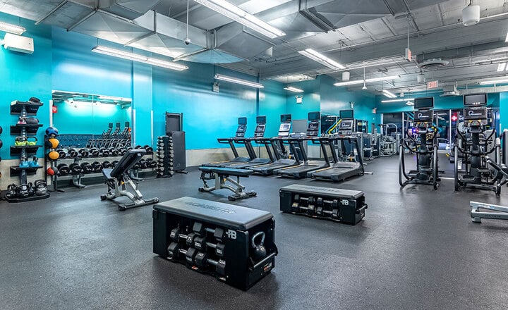 Pure Gym Interior with Free Weights and Gym Equipment